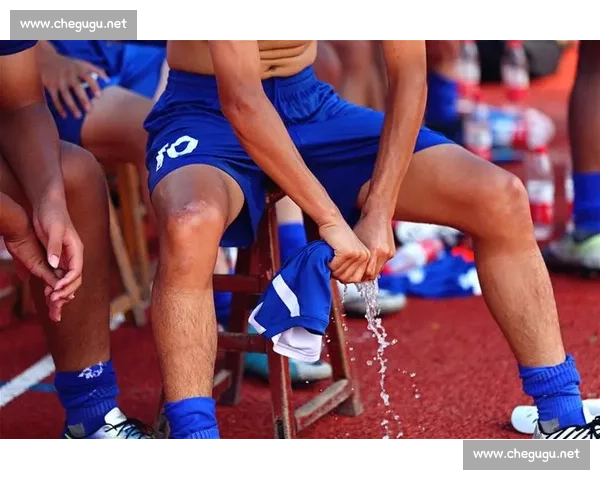 绿茵场上的公正守护者足球裁判的荣耀与挑战背后不为人知的故事和